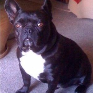 Meet your Posher, Farzad